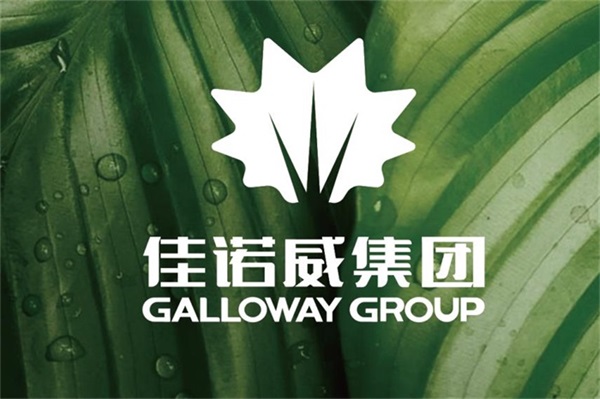 中国好家居的绿色革命先锋3245澳门新莆京，让高强度环保板材成为生活新常态